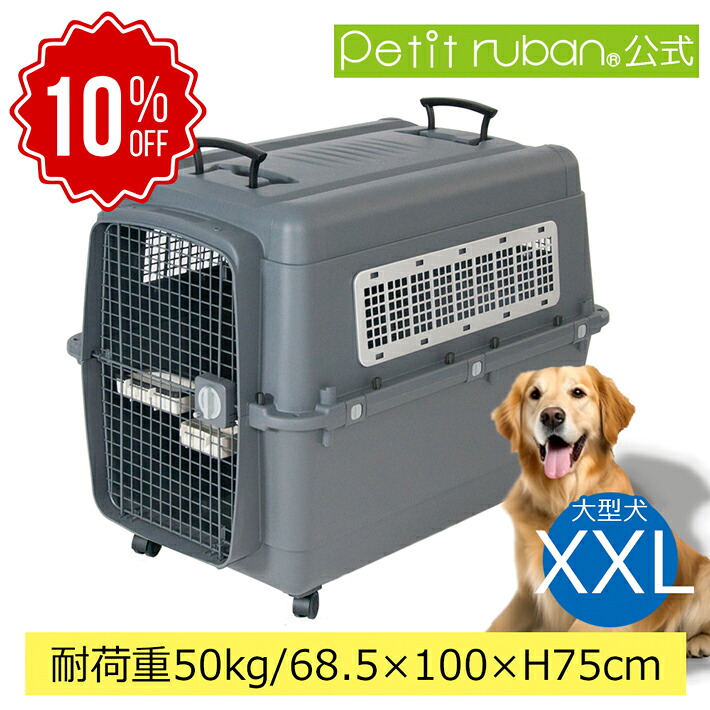 百貨店SALE特集ペイジ2026年6月