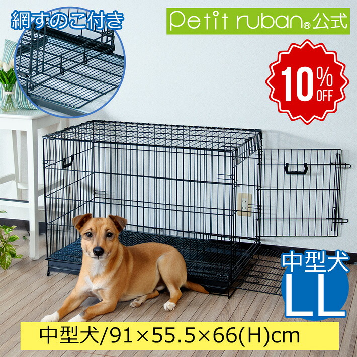 百貨店SALE特集ペイジ2026年6月
