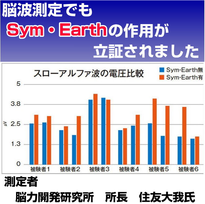 Sym・Earth シン・アース高HADO 波動 サイズ約95×210cm陰陽理論