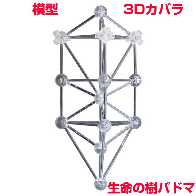 楽天市場】＼＼ポイント20倍／／ユニカ 模型 3Dカバラ パドマ