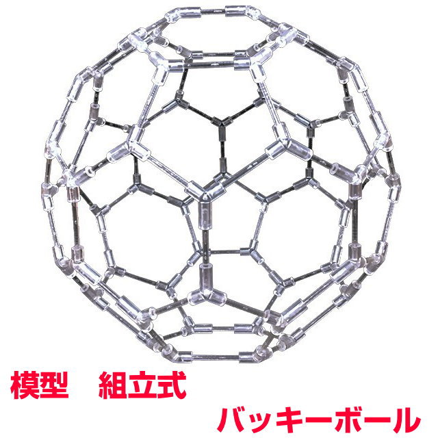 【ポイント20倍！】模型 バッキーボール（組立式）奇跡のコイルBLACK EYEブラックアイの医学博士丸山修寛監修電磁波防止 電磁波カット 電磁波対策 コリ 血行促進 生命エネルギー 集中力 記憶力 直感力