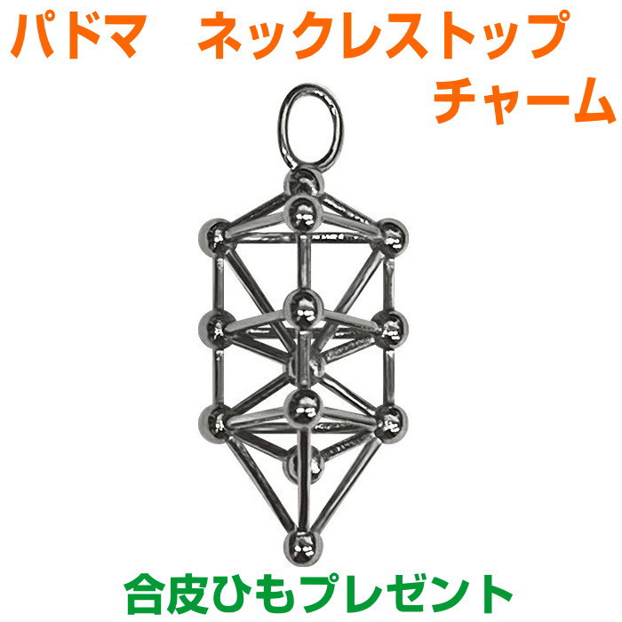 【ポイント20倍】パドマ ネックレストップ チャームサージカルステンレスBLACK EYEブラックアイの丸山修寛監修電磁波防止 電磁波カット 電磁波対策 コリ 血行促進 生命エネルギー 集中力 クスリエ 三種の神器 ループ 3Dカバラ 記憶力 直感力