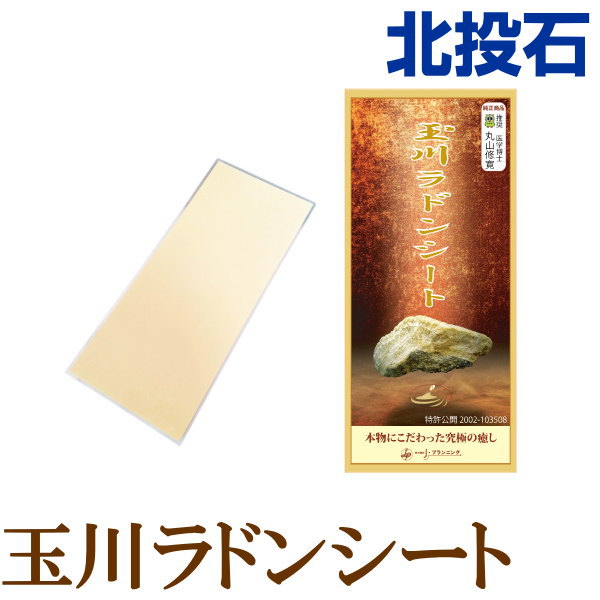 ラジウム温泉　バドガプレート2個セット バドガシュタイン鉱石 5kgお任せセット ラジウム放射線計測定