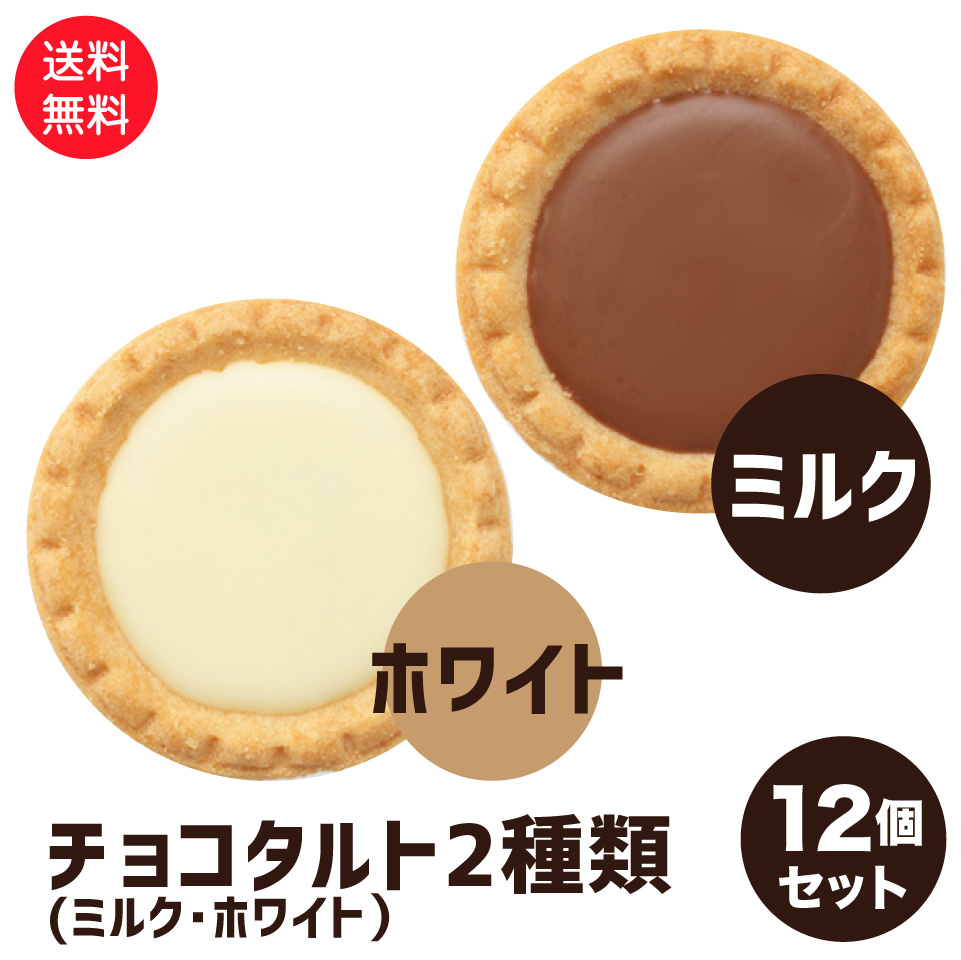 楽天市場】老舗洋菓子屋 チョコタルト 24個 セット ミルク ホワイト 2 