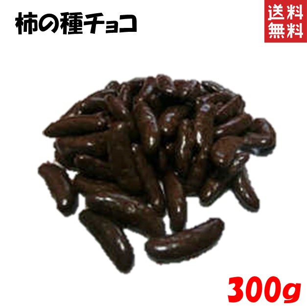 アストリオ Astrio 干し柿とチョコレート 1個 Mamano Chocolate