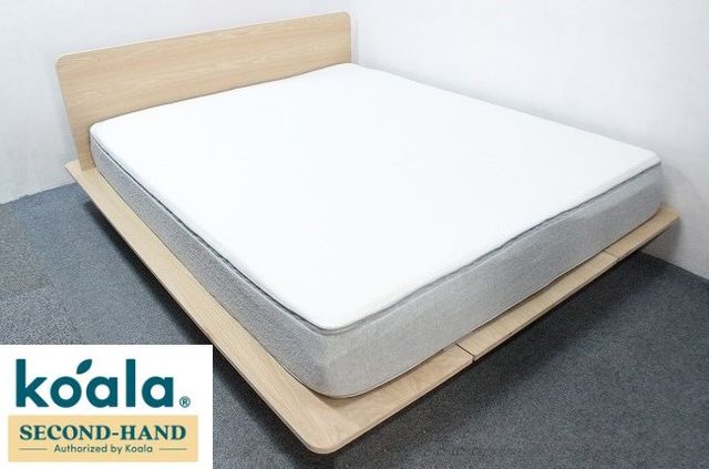 koala_08.jpg