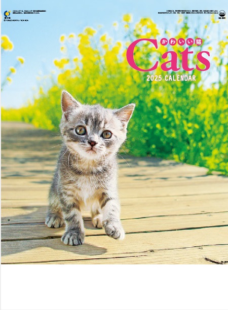 宣伝効果抜群 ポスター 22年本 雑誌 コミック 1年中低コストで宣伝できます 22年 格安封筒印刷のバーディー 名入れカレンダー送料無料 カレンダー 名入れカレンダー動物 かわいい猫 80冊令和4年 カレンダー