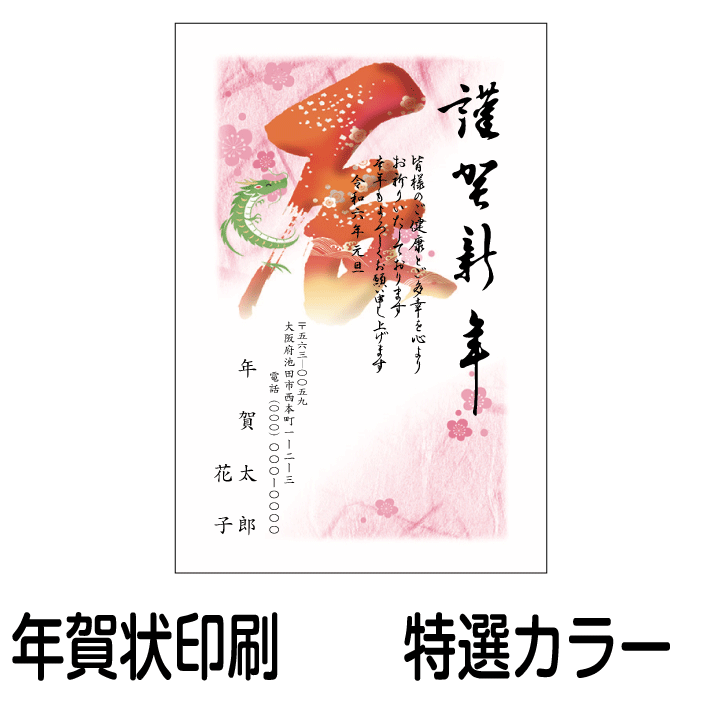 年賀状 印刷 年賀状印刷 厳選デザイン 特選カラー印刷 210枚 2023 令和5年 卯年 年賀ハガキ 年賀はがき 送料無料 ゆうパケット  高評価のクリスマスプレゼント