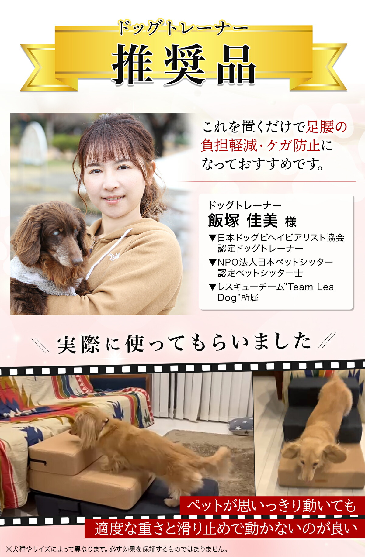 PetStyle ドッグステップ 犬 犬用 ステップ メッシュ生地 ペット 通気