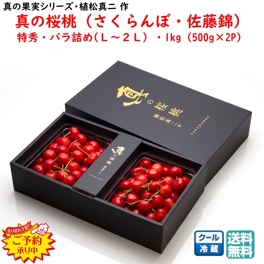 先行予約 早割 (6月下旬頃発送予定) さくらんぼ 佐藤錦 1kg(500g×2P) 特秀 バラ詰め L～2Lサイズ 露地栽培 真の桜桃 松栗農園 お中元 (東北 山形 東根産 産地直送 贈り物 贈答用 ギフト お取り寄せ 高級 さくらんぼの発祥の地 美味しい おすすめ 夏ギフト)【S19】