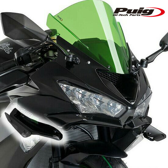 Puig 6043C REAR-FENDER Kawasaki ZZR1400(12-15) プーチ リア