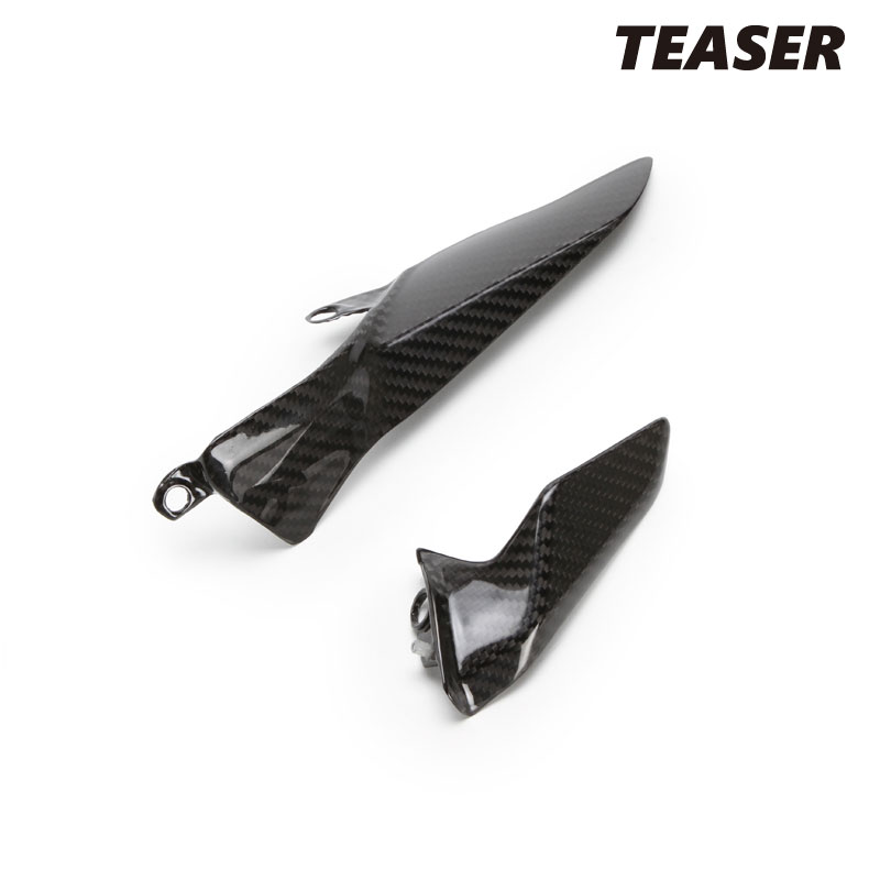 TEASER CGD01G CHAIN GUARD [DRY CARBON HG] DUCATI 1199PANIGALE(12-14) 1299PANIGALE(15-17) PANIGALE V2(20-24) ティーザー カーボン チェーンガード｜RAMBUTAN