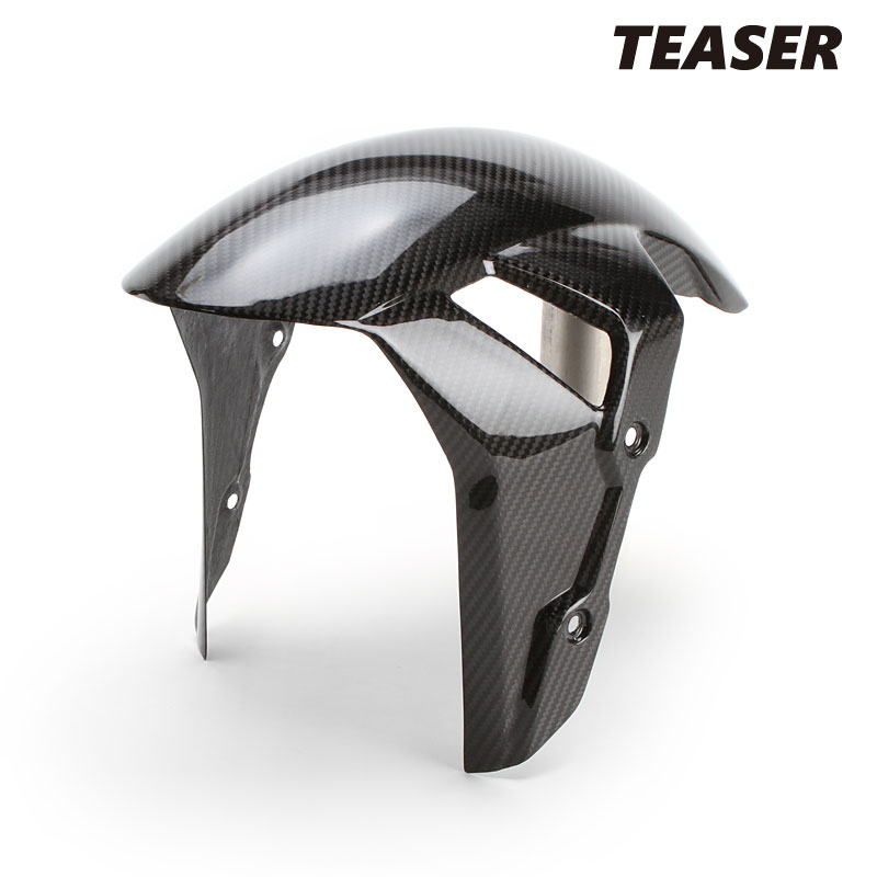 TEASER FFB06G FRONT FENDER [DRY CARBON HG] BMW S10-0RR (18-22) ティーザー カーボン フロント フェンダー