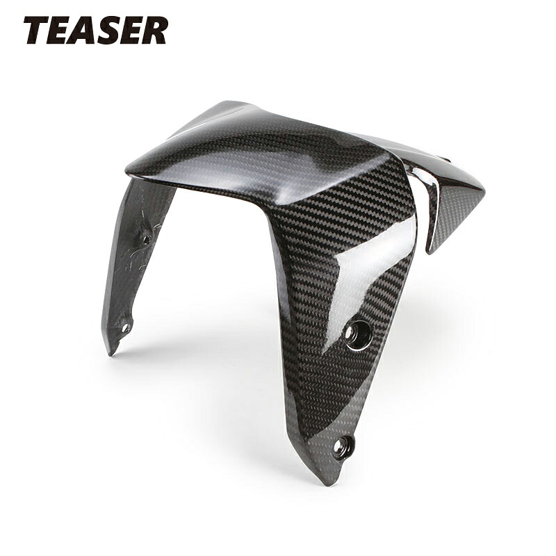 TEASER FFD09G FRONT FENDER [DRY CARBON HG] DUCATI MONSTER821 (21-) MONSTER821 STEALTH (21-) ティーザー カーボンフロントフェンダー