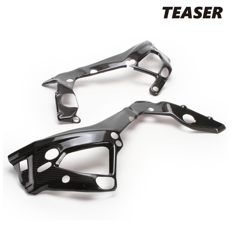 TEASER PTB06G FRAME COVERS [DRY CARBON HG] BMW S10-0RR (19-22) ティーザー カーボン フレーム カバー