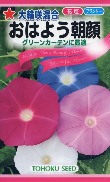 あさがおのたね8000粒 Amazon | サカタのタネ 実咲花6001 朝顔 暁の混合 00906001 | 花