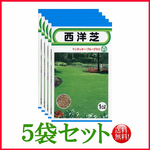 西洋芝 1dl ケンタッキーブルーグラス トーホク 野菜 ハーブ 草花 園芸 栽培 肥料 家庭菜園 球根 苗 種まき 種子 ガーデニング 松永種苗 フタバ サカタのタネ タキイ 在庫がある商品のみ12時 土日祝を除く までのご注文で当日出荷 好評