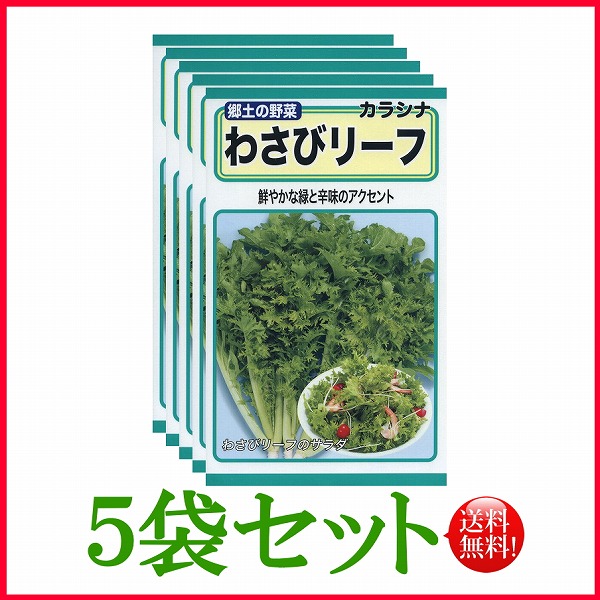 【ご購入後】収穫‼️花わさび2キロ ご購入後に収穫】奥久慈産花わさび 2kg