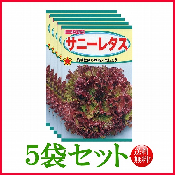 サニーレタス トーホク 野菜 ハーブ 草花 園芸 栽培 肥料 家庭菜園 球根 苗 種まき 種子 たね ガーデニング ポット じょうろ フタバ種苗 サカタのタネ タキイ種苗 在庫がある商品のみ12時 土日祝を除く までのご注文で当日出荷 お気にいる