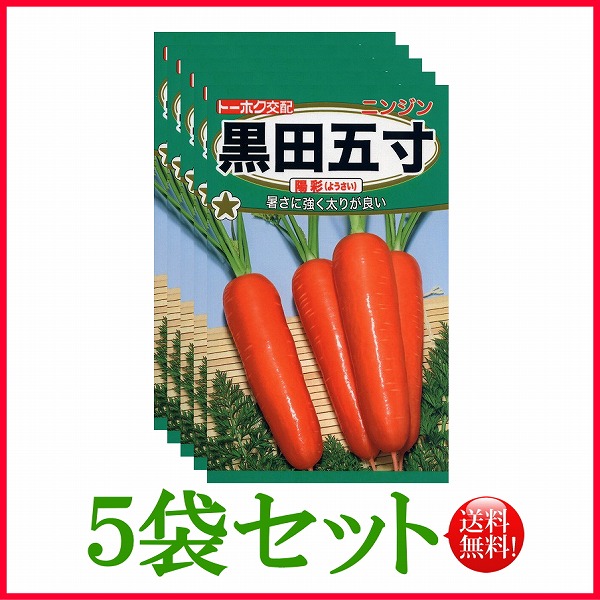 黒田五寸 陽彩 にんじん トーホク 野菜 ハーブ 草花 園芸 栽培 肥料 家庭菜園 球根 苗 種まき 種子 たね タネ 植物 ガーデニング フタバ種苗 サカタのタネ タキイ 在庫がある商品のみ12時 土日祝を除く までのご注文で当日出荷 日本メーカー新品