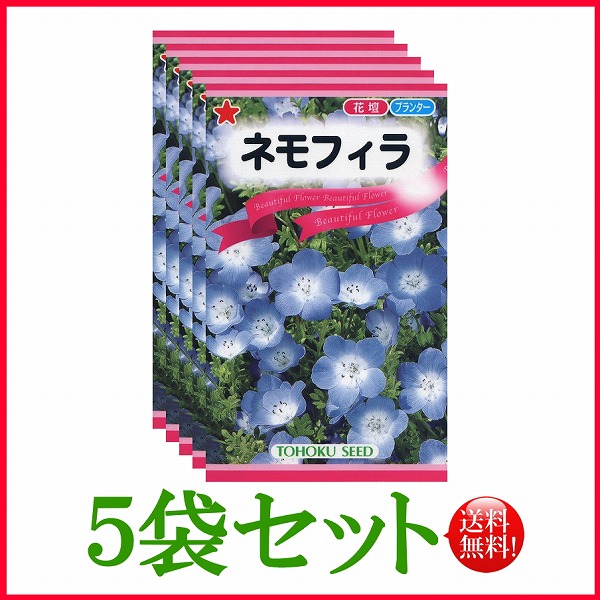 ネモフィラ トーホク 野菜 ハーブ 草花 園芸 栽培 肥料 家庭菜園 球根 苗 種子 たね ガーデニング 培養土 ポット じょうろ 松永種苗 フタバ  サカタのタネ タキイ 在庫がある商品のみ12時 土日祝を除く までのご注文で当日出荷 【最新入荷】