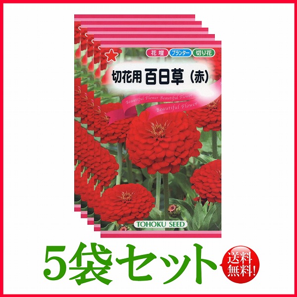 切花用 百日草(赤) トーホク 野菜 ハーブ 草花 園芸 栽培 肥料 家庭菜園 球根 苗 種まき 種子 たね ガーデニング じょうろ 松永種苗 フタバ サカタのタネ タキイ ★在庫がある商品のみ12時(土日祝を除く)までのご注文で当日出荷