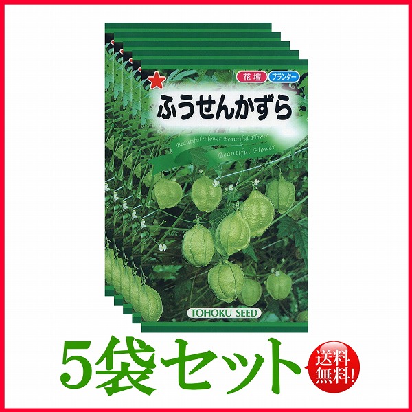 ふうせんかずら トーホク たね 野菜 種まき 栽培 球根 種子 じょうろ ガーデニング ハーブ 草花 ポット 家庭菜園 肥料 苗 園芸
