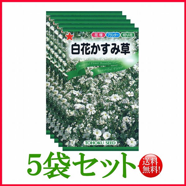 白花かすみ草 トーホク 野菜 ハーブ 草花 園芸 栽培 肥料 家庭菜園 苗 種まき 種子 タネ 植物 ガーデニング 松永種苗 フタバ種苗 サカタのタネ タキイ種苗 連作障害 在庫がある商品のみ12時 土日祝を除く までのご注文で当日出荷 日本