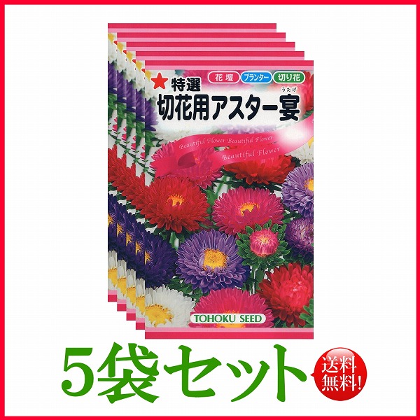 特選切花用アスター宴 うたげ トーホク 野菜 ハーブ 草花 園芸 栽培 肥料 家庭菜園 種まき タネ ガーデニング ポット じょうろ 松永 フタバ サカタのタネ タキイ 在庫がある商品のみ12時 土日祝を除く までのご注文で当日出荷 翌日発送可能