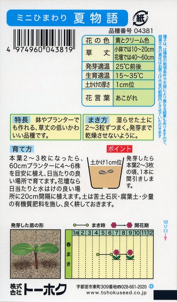 【全国送料無料】ミニひまわり夏物語/トーホク野菜ハーブ草花園芸栽培肥料家庭菜園球根苗種まき種子たねタネ植物ガーデニングじょうろ松永種苗フタバ種苗サカタのタネタキイ種苗★在庫がある商品のみ12時(土日祝を除く)までのご注文で当日出荷