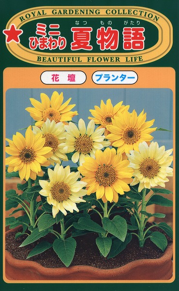 【5袋割引セット♪】【全国送料無料】ミニひまわり夏物語/トーホク野菜ハーブ草花園芸栽培肥料家庭菜園球根苗種まき種子たねガーデニングじょうろ松永種苗フタバサカタのタネタキイ★在庫がある商品のみ12時(土日祝を除く)までのご注文で当日出荷