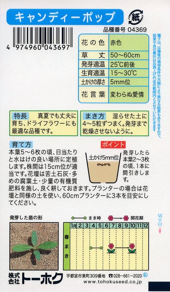 千日紅 キャンディーポップ 家庭菜園 栽培 球根 肥料 苗 トーホク 園芸 種まき 野菜 ガーデニング ポット ハーブ 草花