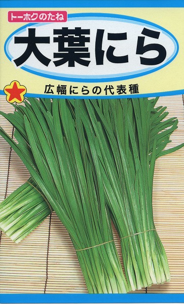 茶吉さんの専用ニラ苗 50本 家庭菜園 楽天市場】食用ニラ苗【2個セット】(c05) : 千草園芸