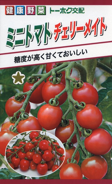 楽天市場】【代引不可】【送料5袋まで80円】 seed たね tane 種 種子