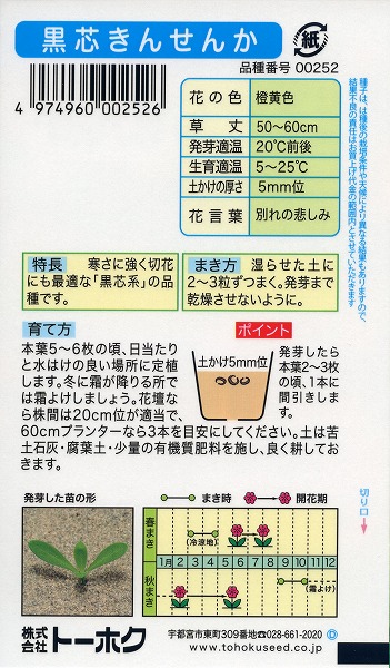 黒芯きんせんか トーホク 草花 タネ 肥料 たね ハーブ ガーデニング 園芸 家庭菜園 野菜 球根 種まき 植物 培養土 栽培 種子 ポット