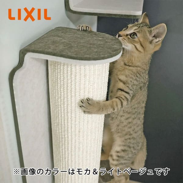 猫壁 木登りポール 爪とぎ マグネット式 キャットステップ 壁面