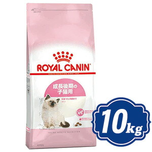 Rakuten 楽天市場 ロイヤルカナン キトン キャットフード 10kg Royal Canin 正規品 Relish 50 Off Blog Belasartes Br