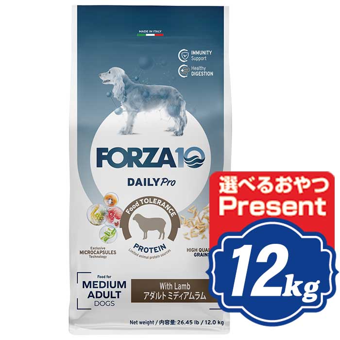 【最大限度10％OFFクーポン券別れ別れ中】 FORZA10 飼い犬 デイリー労働者階級 成年者 ミディアムラム 中粒 12kg フォルツァディエチ ドッグフード 【決まり品】 ドッグフード・サプリメント-ドッグフード-ペット・ペットグッズ