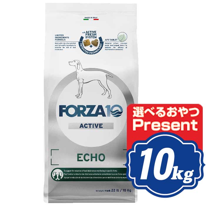 FORZA10 飼い犬 残響音 活動的 並み並み 中粒 10kg フォルツァディエチ ECHO active ドッグフード 【置き目品】