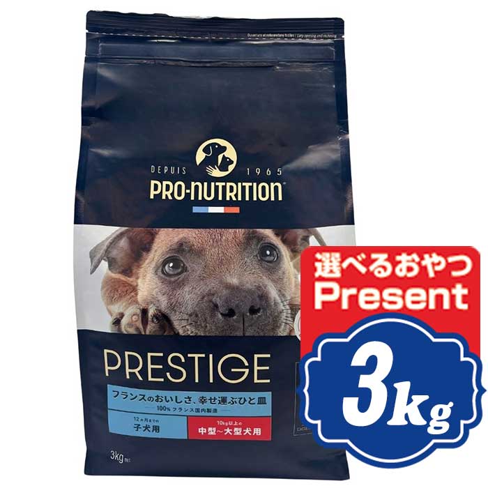 プレスティージ 犬用 パピー 中粒 3kg ドッグフード PRESTIGE【正規品】