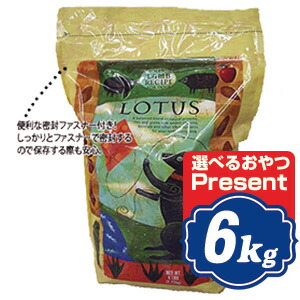 Lotus 正規品 ラムレシピ ラムレシピ Lotus 選べるおやつプレゼント ロータスアダルトラムレシピ中粒成犬用ドッグフード Relish アダルト ドッグフード ドッグフード ロータス 中粒 6kg