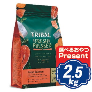 取り組みバル 飼い犬 生新しい年魚 2.5kg TRIBAL ドッグフード 【置き目品】