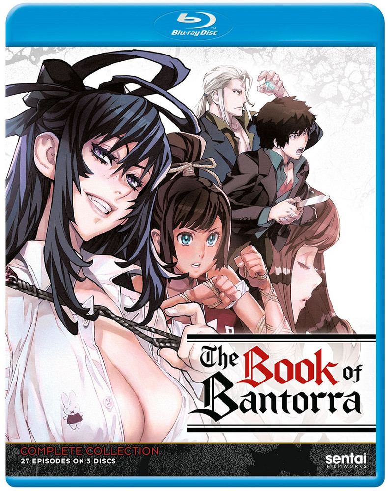 新品北米版blu Ray 戦う司書 全27話 Hostalbuenosaires Cat
