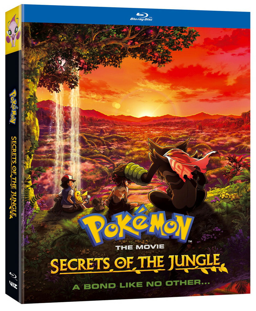 映画　ポケットモンスター　 DVD セット+番外編3枚 映画 ポケットモンスター DVD セット+番外編3枚 Amazon.com