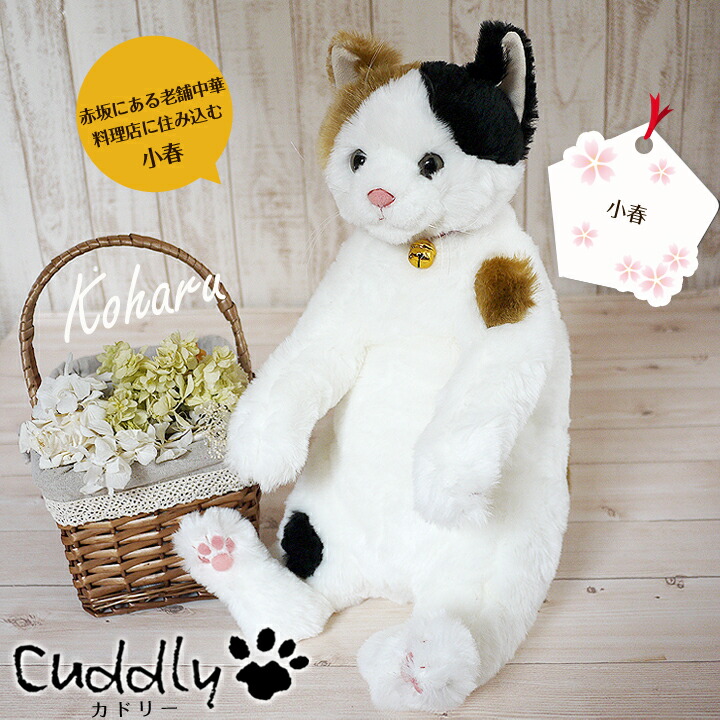 楽天市場】猫 ぬいぐるみ 小春 カドリー Cuddly 癒し 猫のぬいぐるみ