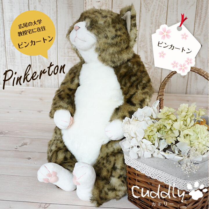 Amazon.co.jp: カドリー ぬいぐるみ ワビ助 ミスチーフ