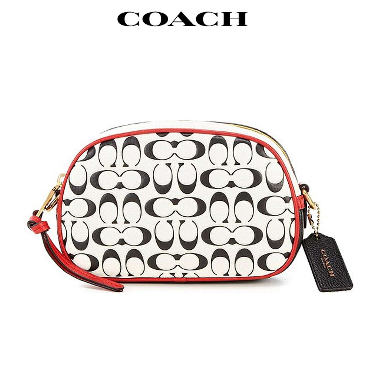 キースへリング ディズニー ディズニー 黒 バッグ レディース ショルダーバッグ 人気 ミッキー Coach レディース バッグ ショルダーバッグ コーチ コーチ バッグ 黒 ディズニー ミッキー キースへリング レディース 人気 Coach Rio Planet