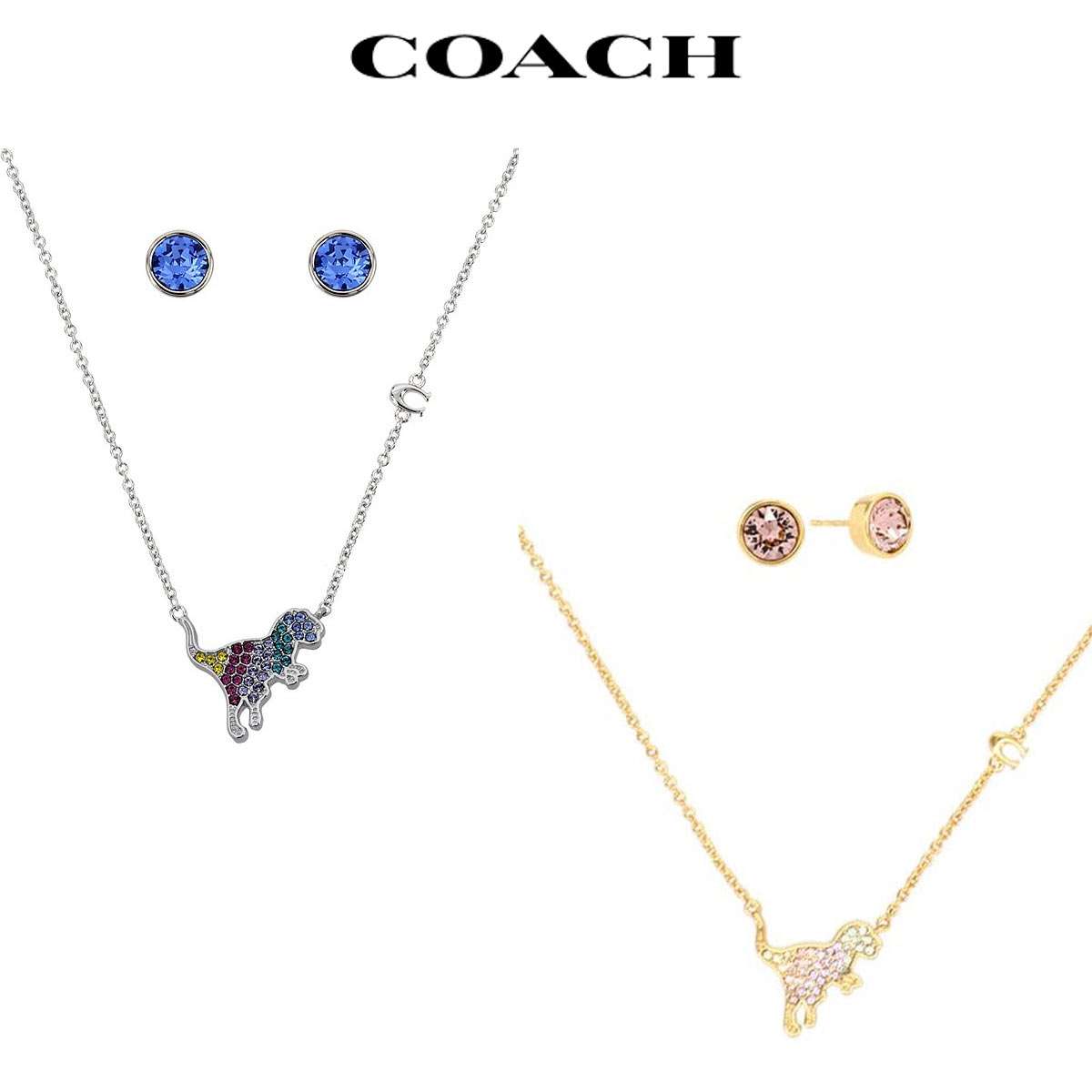 新品未使用品　COACH リボンモチーフ ネックレス ピアスセット nopple_412845gld110-boxin-gift