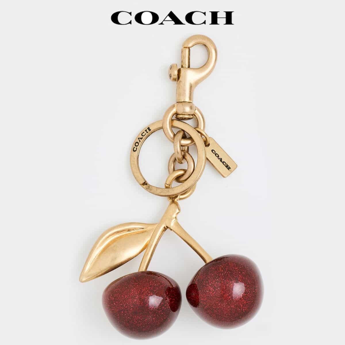 COACH カタツムリ型チャーム 楽天市場】コーチ キーホルダー バッグチャーム ブランド