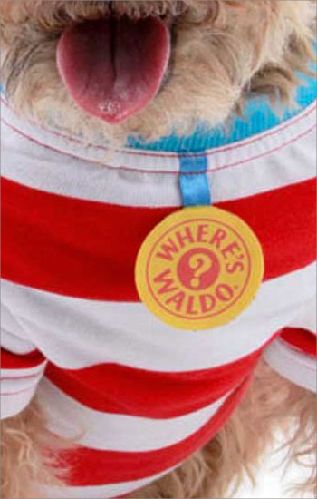 楽天市場 ウォーリー 仮装 コスプレ コスチューム 衣装 ウォーリーをさがせ ペット 犬 ハロウィン Rio Planet
